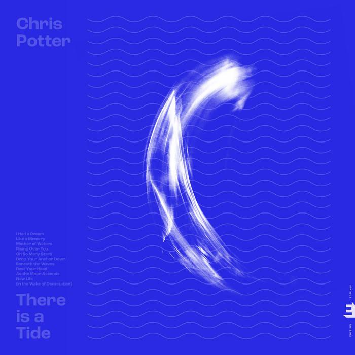 Kniha: Chris Potter:  There Is a Tide - Chris Potter