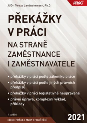 Kniha: Překážky v práci na straně zaměstnance i zaměstnavatele - Tereza Landwehrmann