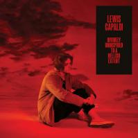 Lewis Capaldi: Divinely Uninspired to A