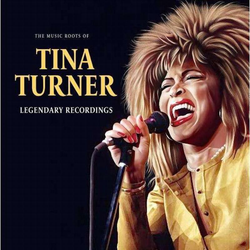 Kniha: Tina Turner: The Music Roots Of LP - MEMBRAN MEDIA