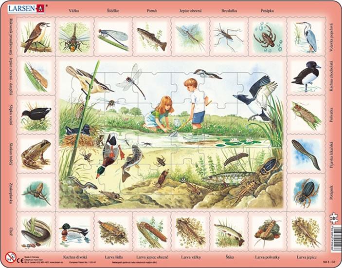 Kniha: Puzzle MAXI - Život u rybníka/48 dílkůautor neuvedený