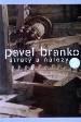 Kniha: Straty a nálezy 2 - Pavel Branko
