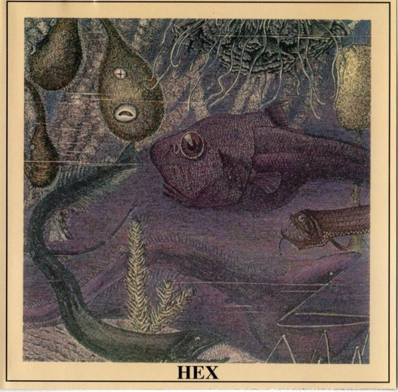 Kniha: Hex: Hex LP - Hex