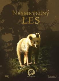 Nesmrteľný les - DVD