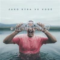 Dj Wich: Jako ryba ve vodě CD