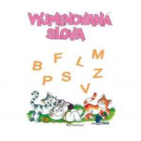 Vyjmenovaná slova B, F,L,M,P,S,V, Z - procvičovací sešit pro 3.ročník ZŠ