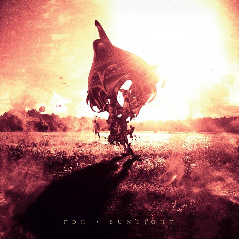 Kniha: Fdk: Sunlight LP - Fdk