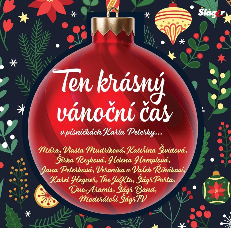 Kniha: Various:  Ten Krásný Vánoční Čas 1Cd - Various