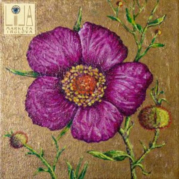 Kniha: Markéta Irglová: Lila (Coloured) LP - Markéta Irglová