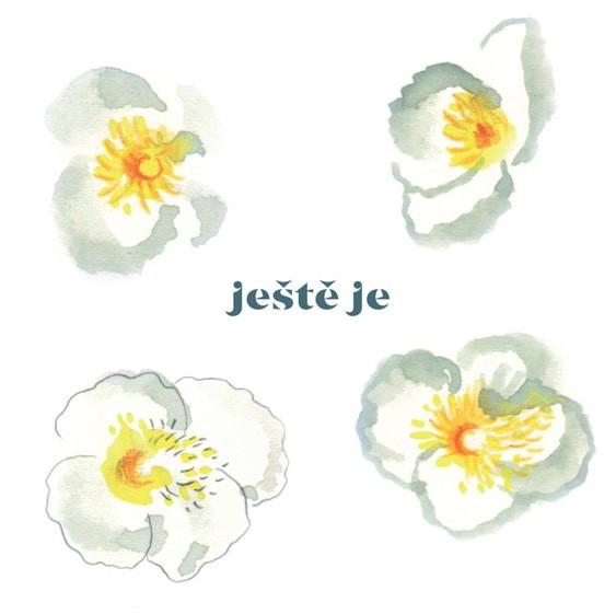 Kniha: Vladimír Javorský: Ještě je LP - Vladimír Javorský