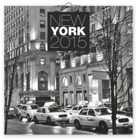 Kniha: New York - nástěnný kalendář 2015 - Jakub Kasl