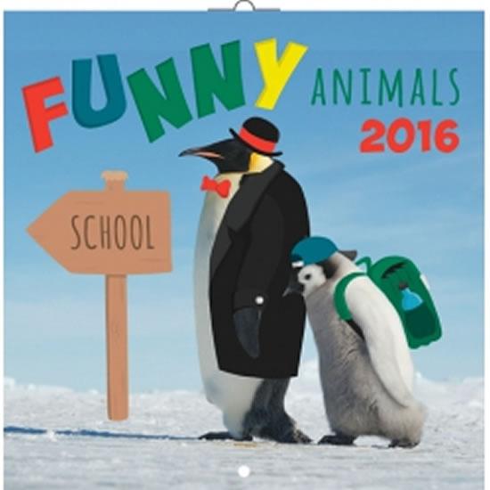 Kniha: Kalendář nástěnný 2016 - Funny Animals, poznámkový  30 x 30 cmautor neuvedený