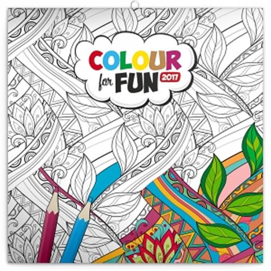 Kniha: Kalendář poznámkový 2017 - Colour for Fun/omalovánkovýautor neuvedený