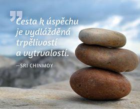 Kniha: Magnet na lednici - Cesta k úspěchu je vydlážděná trpělivostí a vytrvalostí. - Chinmoy Sri