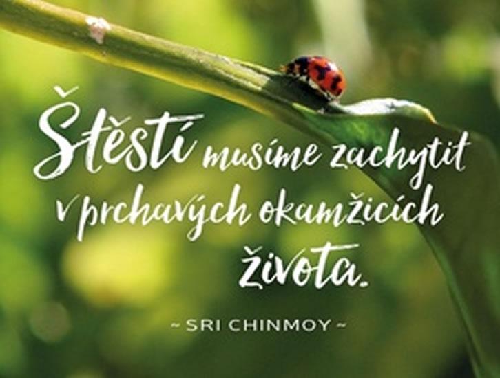 Kniha: Štěstí musíme zachytit - plechová cedulka - Sri Chinmoy