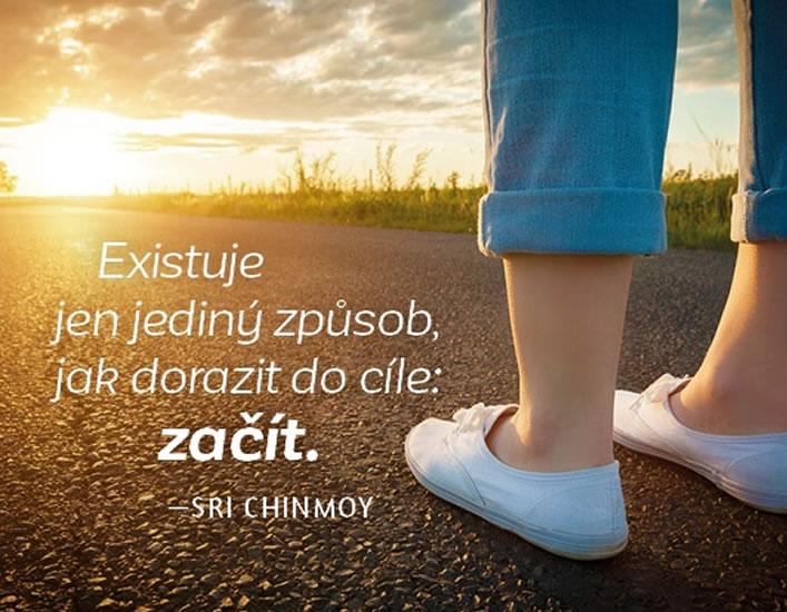 Kniha: Magnet na lednici - Existuje jen jediný způsob, jak dorazit do cíle: začít. - Chinmoy Sri