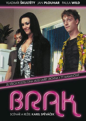 Kniha: Brak - Karel Spěváček
