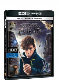 Fantastická zvířata a kde je najít Ultra HD Blu-ray