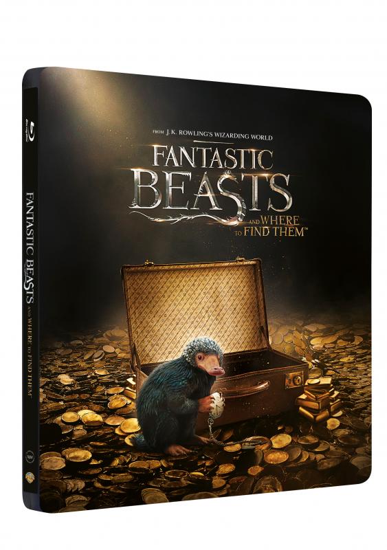 Kniha: Fantastické zvery a ich výskyt 3D Steelbook - David Yates