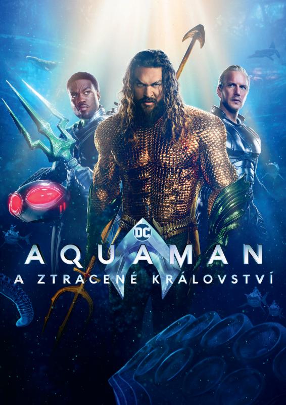 Kniha: Aquaman a ztracené království - WB