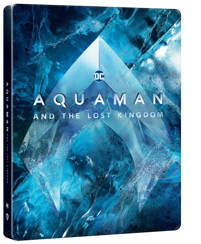 Kniha: Aquaman a ztracené království Ultra HD Blu-ray Steelbook - James Wan