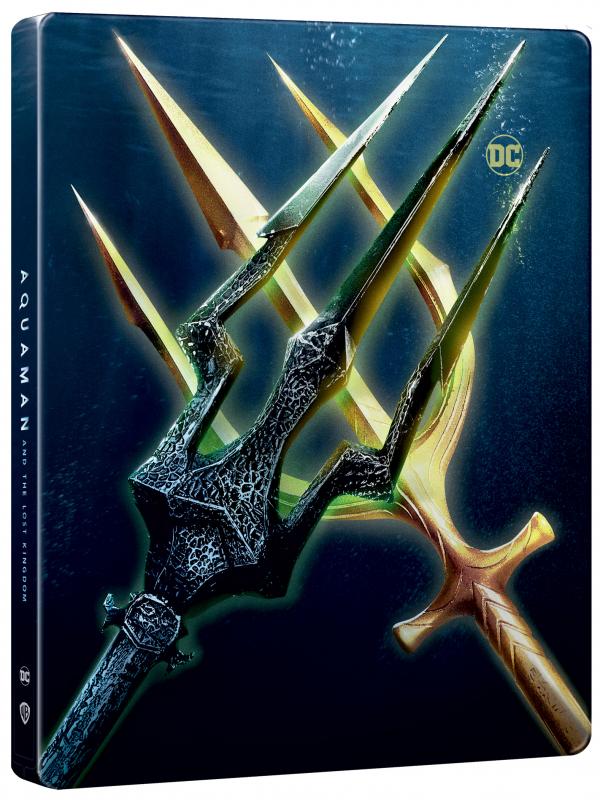 Kniha: Aquaman a ztracené království Steelbook BD+DVD - WB