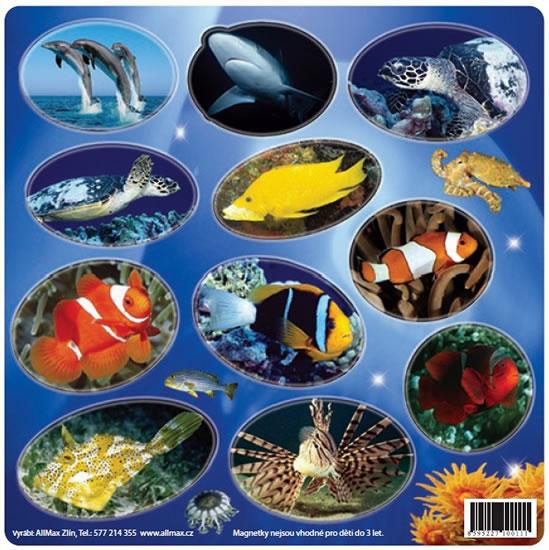 Kniha: Život v oceánu - Magnetky na ledničkuautor neuvedený