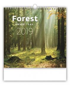 Kalendář nástěnný 2019 - Forest/Wald/Les