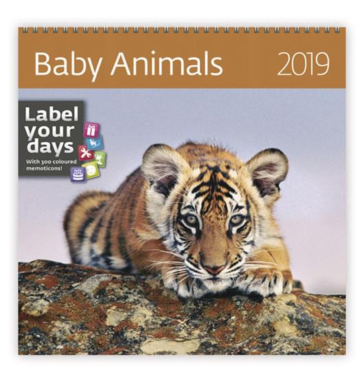 Kniha: Kalendář nástěnný 2019 - Baby Animalsautor neuvedený