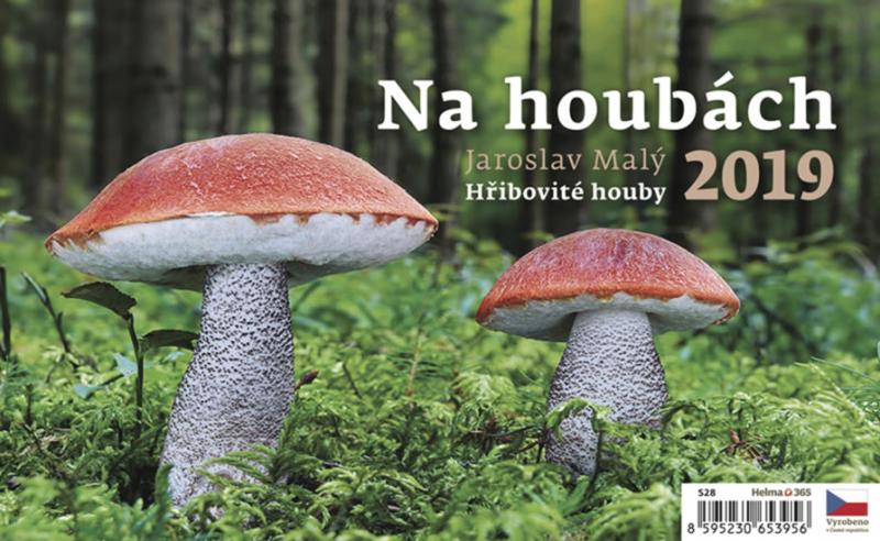 Kniha: Kalendář stolní 2019 - Na houbách - Malý Jaroslav