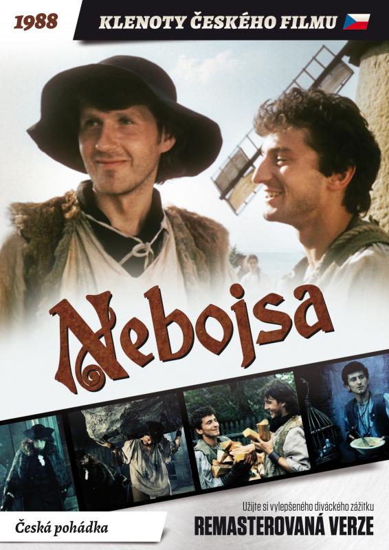 Kniha: Nebojsa - Július Matula