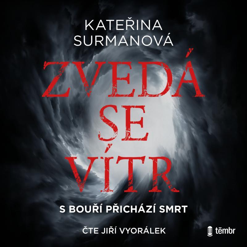 Kniha: Zvedá se vítr - audioknihovna - Surmanová Kateřina