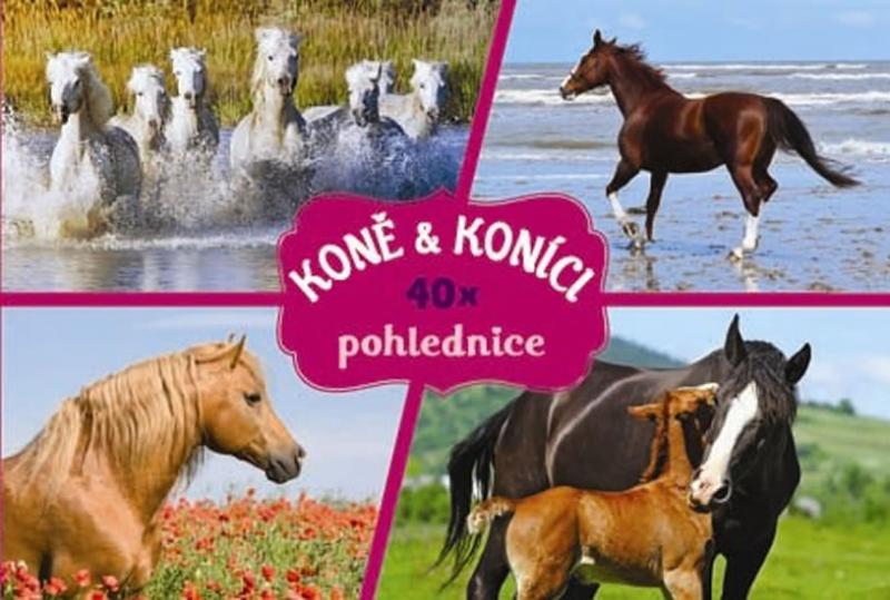 Kniha: Koně a koníci (40× pohlednice)autor neuvedený