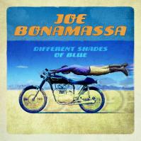 BONAMASSA, JOE  DIFFERENT SHADES OF BLUE / BLUE