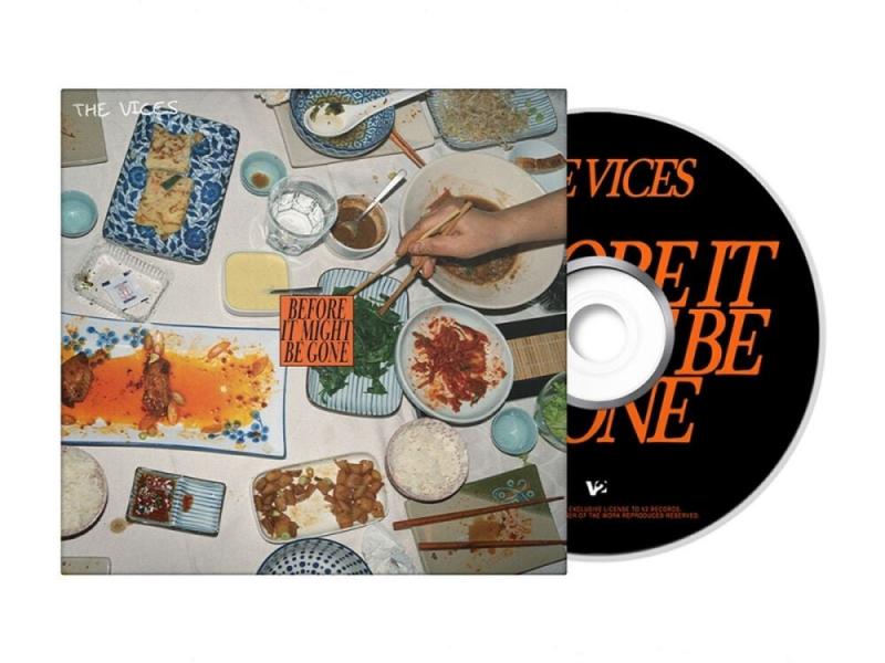 Kniha: VICES  BEFORE IT MIGHT BE GONE - V2