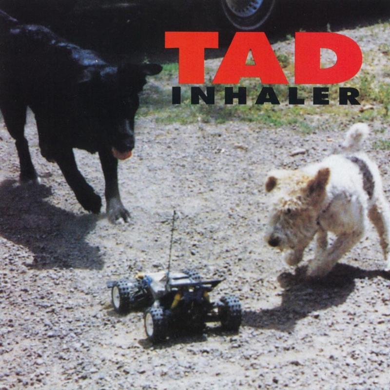 Kniha: Tad:  Inhaler / 180G - Tad