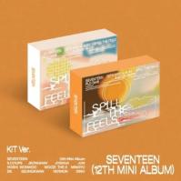 Seventeen:  Spill The Feels / Card Postcard(S) Photo Card(S)