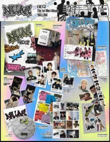 Nexz:  Nallina / Photo Card(S) Poster(S) Polaroid(S) Sticker(S)