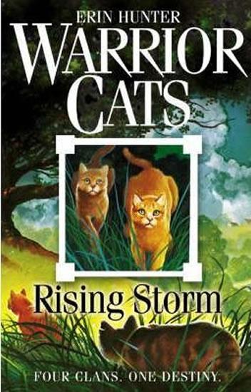 Kniha: Warrior Cats 4 - Rising Storm - Hunter Erin