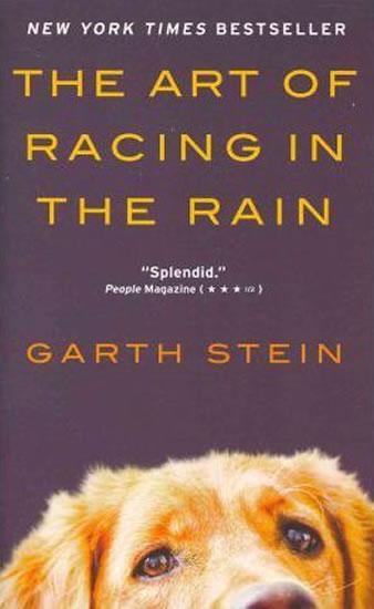 Kniha: The Art of Racing in the Rain - Stein Garth