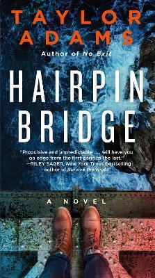 Kniha: Hairpin Bridge - Adams Taylor