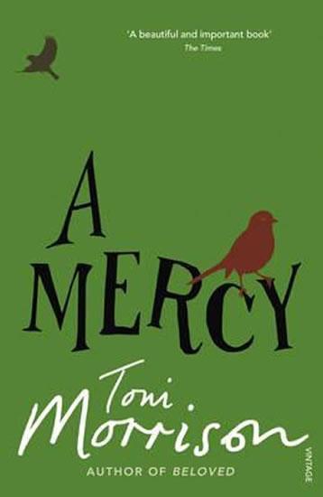 Kniha: A Mercy - Morrisonová Toni