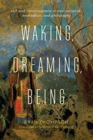 Waking, Dreaming, Being : Self and Consciousness in Neuroscience, Meditation, and Philosophy