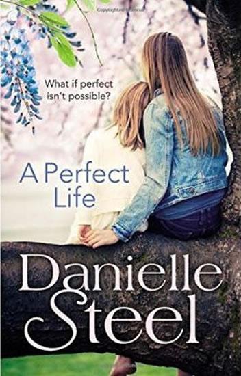 Kniha: A Perfect Life - Steel Danielle