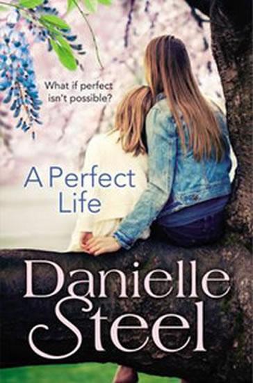 Kniha: A Perfect Life - Steel Danielle