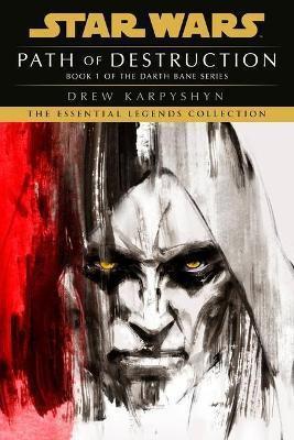 Kniha: Star Wars: Path of Destruction - Karpyshyn Drew