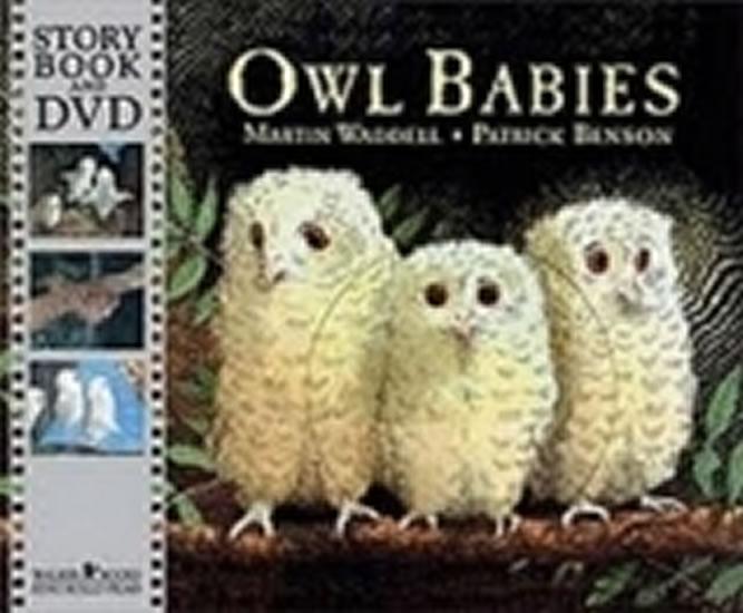 Kniha: Owl Babies (Book - DVD) - Waddell Martin
