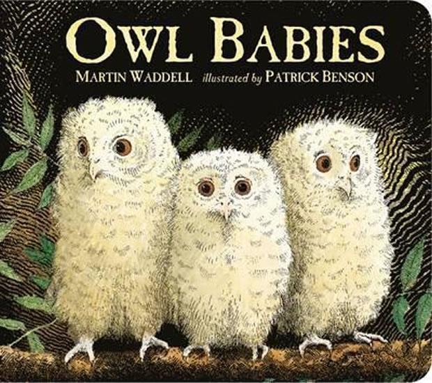 Kniha: Owl Babies - Waddell Martin