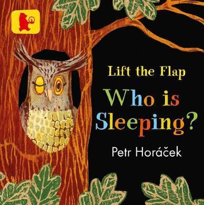 Kniha: Who is Sleeping? - Horáček Petr