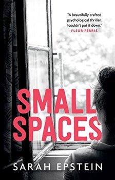 Kniha: Small Spaces - Epstein, Sarah